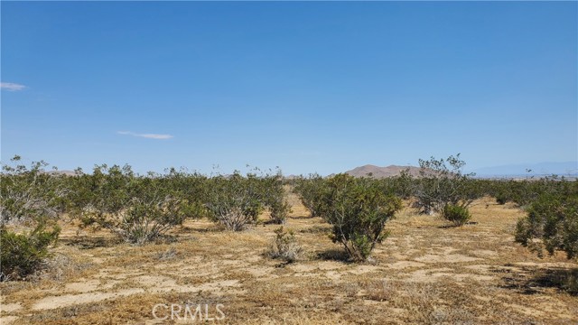 0 Budlong Ave & 114th St West, Rosamond, California 93560, ,Land,For Sale,0 Budlong Ave & 114th St West,CRSR23171065