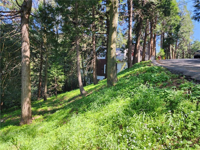 Detail Gallery Image 12 of 21 For 811 Deer Trl, Crestline,  CA 92325 - – Beds | – Baths