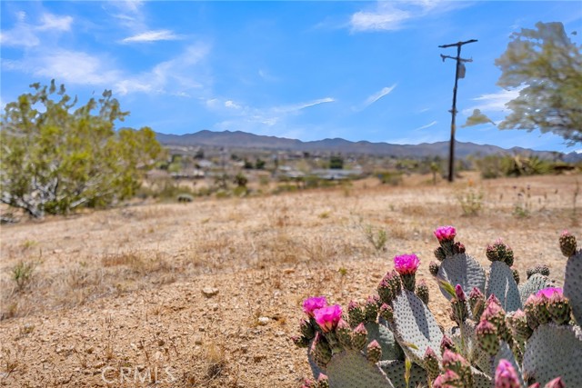 Detail Gallery Image 35 of 62 For 6082 Carmelita Ave, Yucca Valley,  CA 92284 - 3 Beds | 2 Baths