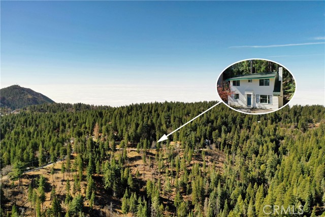 Detail Gallery Image 3 of 36 For 31741 Wagon Wheel Dr, Running Springs,  CA 92382 - 3 Beds | 2 Baths
