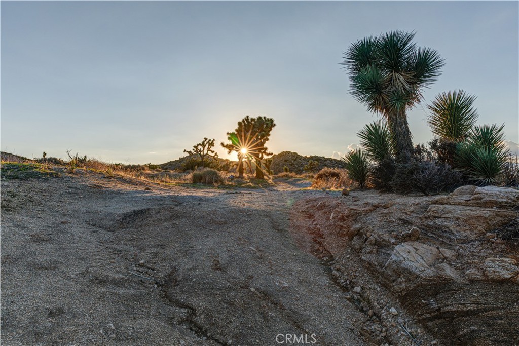 MLS #JT25229239 image #36