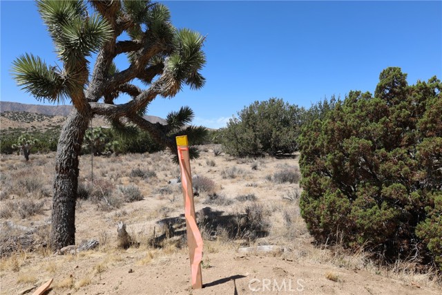 Detail Gallery Image 52 of 58 For 0 Longview Rd, Pearblossom,  CA 93553 - – Beds | – Baths