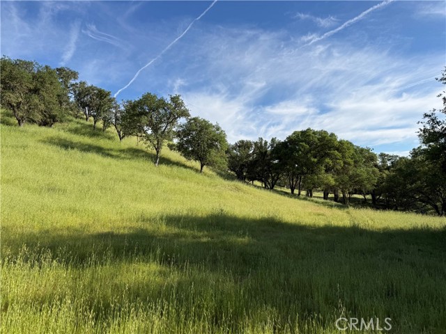 Detail Gallery Image 16 of 66 For 77599 Lowes Canyon Rd, San Miguel,  CA 93451 - – Beds | – Baths