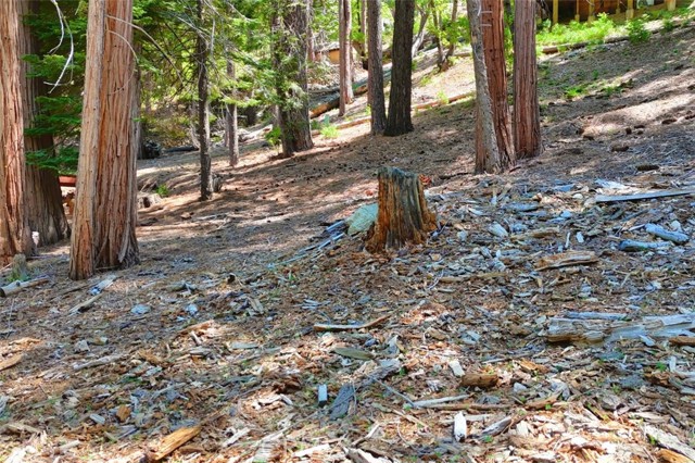 Detail Gallery Image 14 of 15 For 7220 Yosemite Park Way, Yosemite,  CA 95389 - – Beds | – Baths