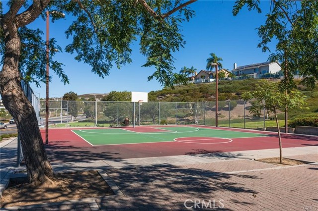 Basketball Court