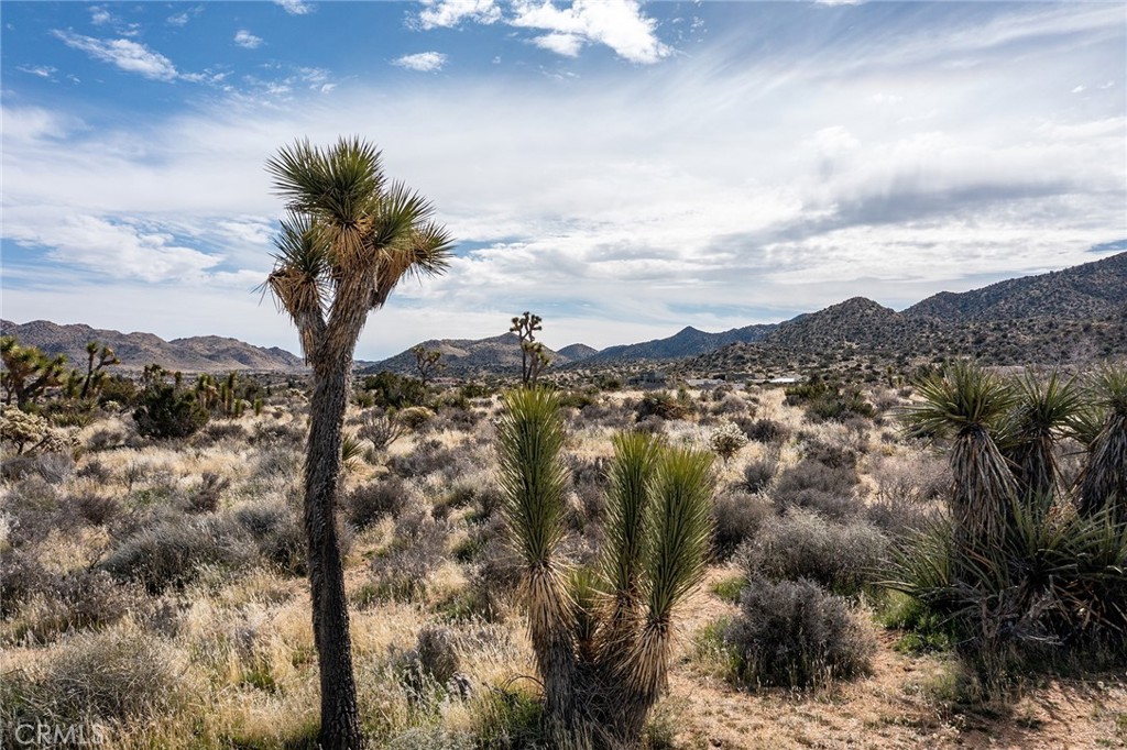 MLS #JT25254535 image #44