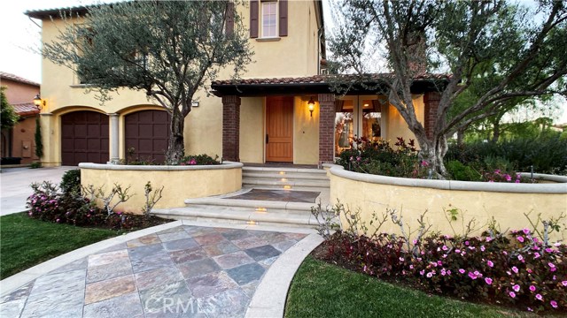 20 Coastal Oak