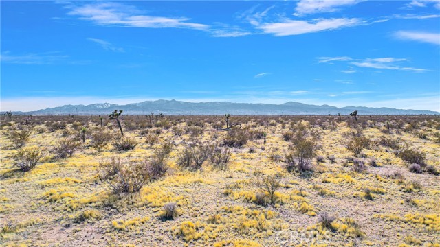 Detail Gallery Image 12 of 12 For 0 Buckeye Ave, Adelanto,  CA 92301 - – Beds | – Baths