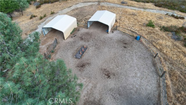 Horse Coverings