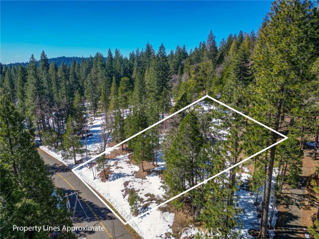 Detail Gallery Image 8 of 9 For 3641 Ottawa, Arnold,  CA 95223 - – Beds | – Baths