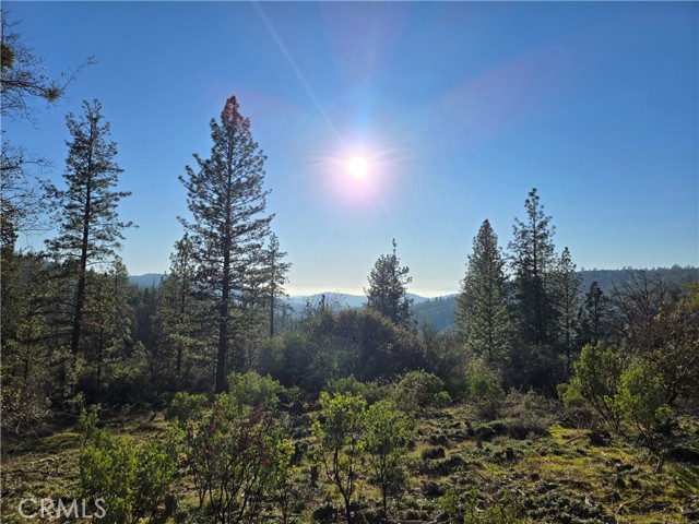 Detail Gallery Image 20 of 34 For 0 Double Eagle Way, Brownsville,  CA 95919 - – Beds | – Baths