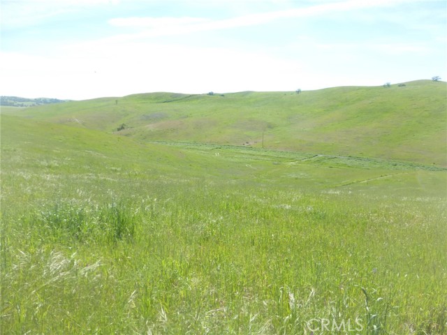 Detail Gallery Image 12 of 42 For 0 Douglas Rd. (Lot 42), San Miguel,  CA 93451 - – Beds | – Baths