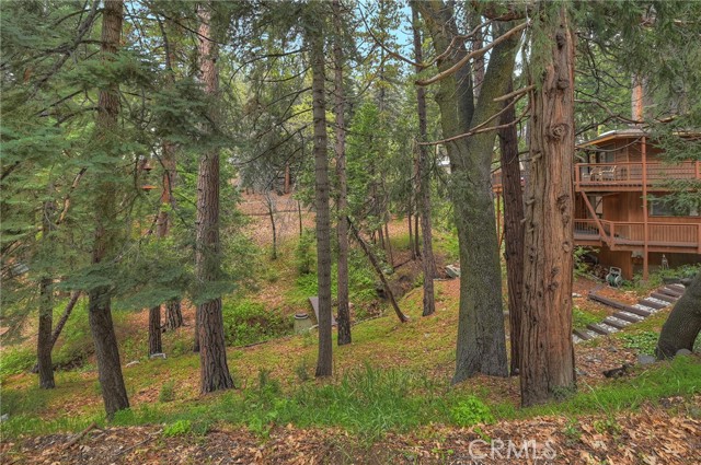 2358 Rim Of The World, Running Springs, CA 92382