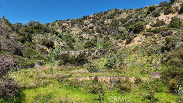 Detail Gallery Image 13 of 22 For 549 Norumbega Dr, Monrovia,  CA 91016 - – Beds | – Baths