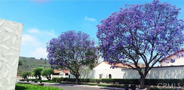 30828 Calle Chueca, San Juan Capistrano CA: https://media.crmls.org/medias/30670aba-e32b-4526-baea-3455199528d3.jpg