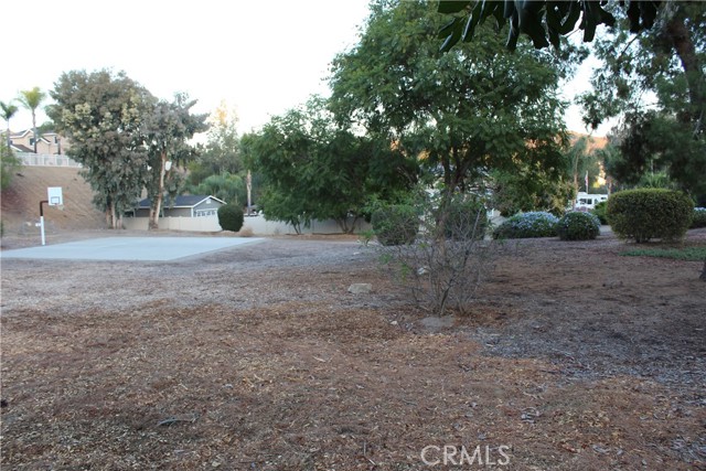 Photo #28: OC24245567 Listing 