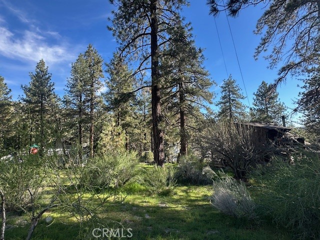 Detail Gallery Image 8 of 9 For 0 Twin Lakes, Wrightwood,  CA 92397 - – Beds | – Baths