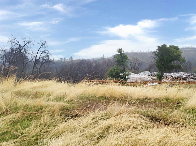 Detail Gallery Image 2 of 10 For 0 Pritchett, Berry Creek,  CA 95916 - – Beds | – Baths