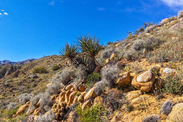 Detail Gallery Image 54 of 75 For 8500 S Samel Rd, Morongo Valley,  CA 92256 - 1 Beds | 1 Baths