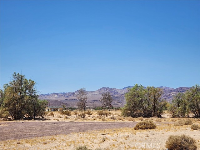 Detail Gallery Image 1 of 18 For 31312 Fort Cady Rd, Newberry Springs,  CA 92365 - – Beds | – Baths