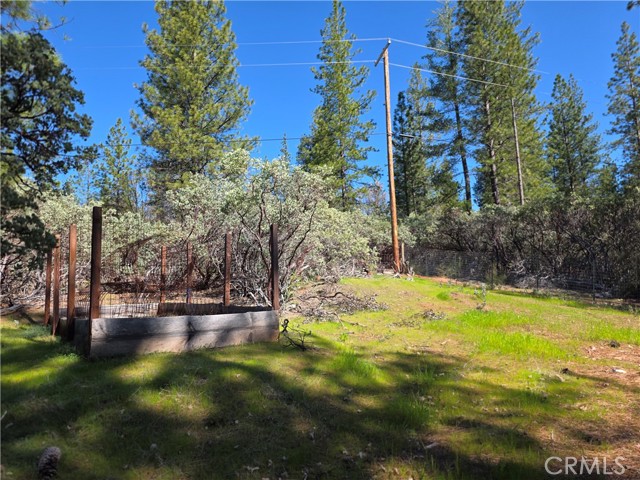 Detail Gallery Image 14 of 51 For 1151 Gorley Ln, Mokelumne Hill,  CA 95245 - 3 Beds | 2/1 Baths