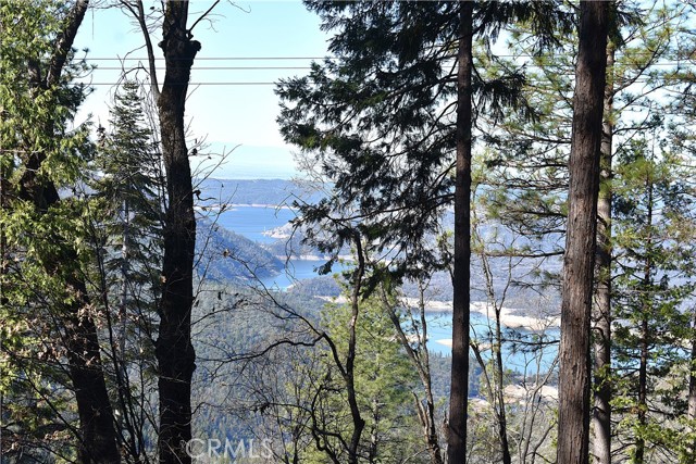 Front Image Thumbnail for CROR26089288