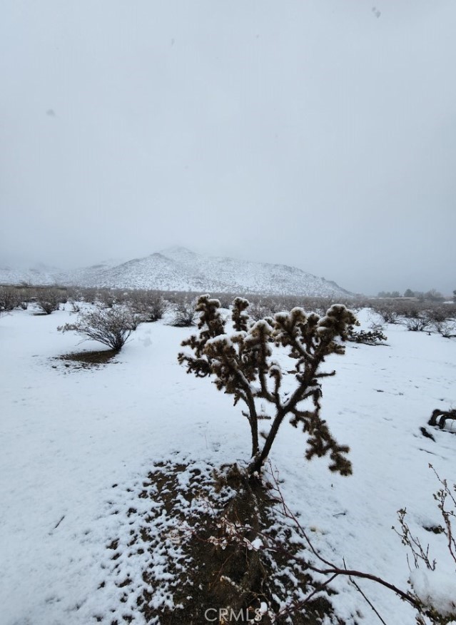 0 Roanoke Road, Apple Valley CA: https://media.crmls.org/medias/308e99e6-8ebb-4a67-aa4e-34cfa4d82494.jpg