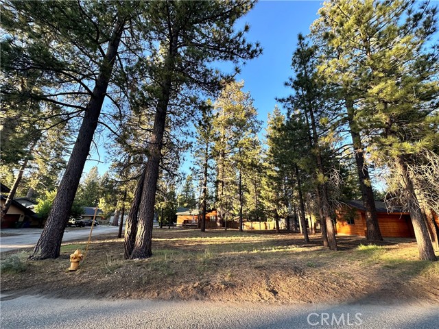 Detail Gallery Image 1 of 1 For 169 Eagle Dr, Big Bear Lake,  CA 92315 - – Beds | – Baths