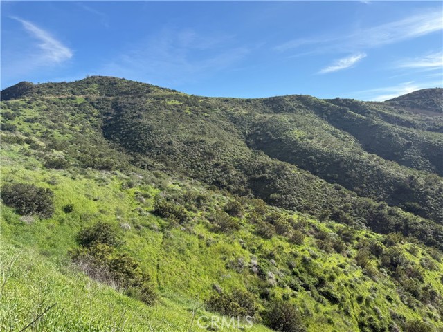 Detail Gallery Image 13 of 21 For 28292 Williams Canyon Rd, Silverado,  CA 92676 - – Beds | – Baths