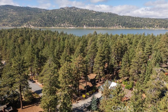 39196 Starview Lane, Big Bear Lake, CA 92315