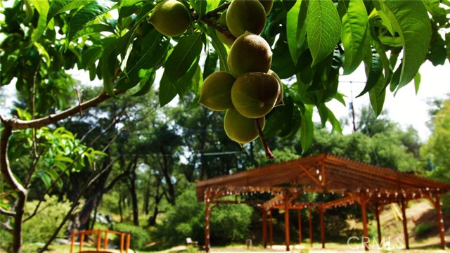 Detail Gallery Image 55 of 66 For 5049 Ca-78, Santa Ysabel,  CA 92070 - 3 Beds | 2/1 Baths