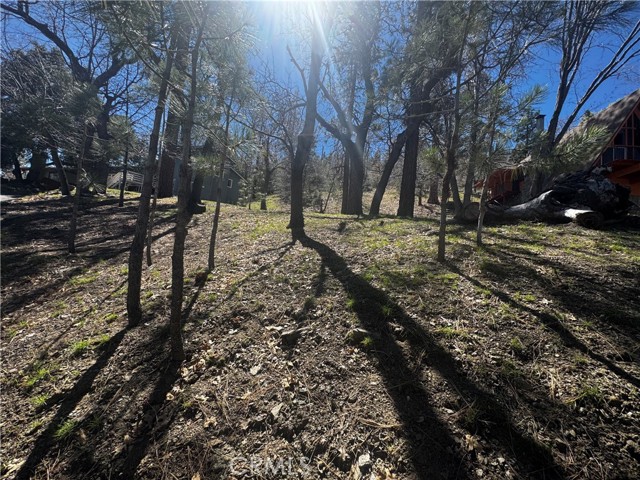 Detail Gallery Image 13 of 15 For 0 Oriole Rd, Wrightwood,  CA 92397 - – Beds | – Baths