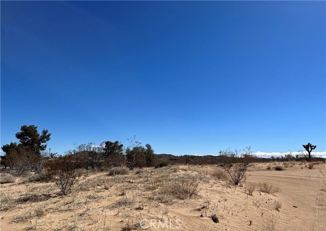 Detail Gallery Image 2 of 8 For 0 Balsa Ave, Landers,  CA 92285 - – Beds | – Baths