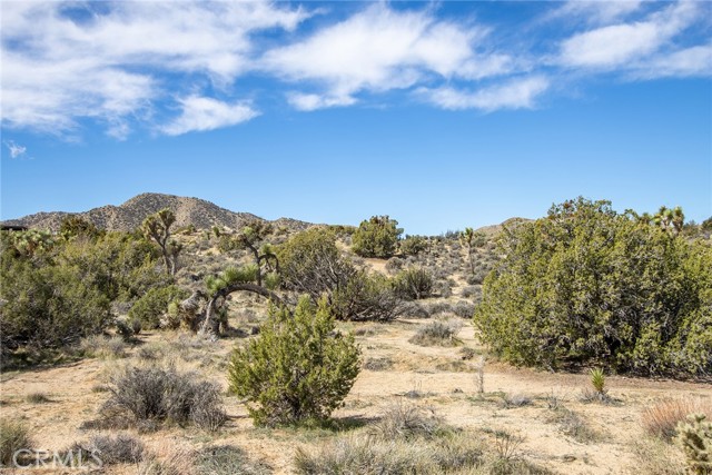 Detail Gallery Image 4 of 20 For 9486 Carmelita Cir, Yucca Valley,  CA 92284 - – Beds | – Baths