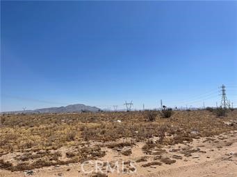 MLS #WS26131848 image #3
