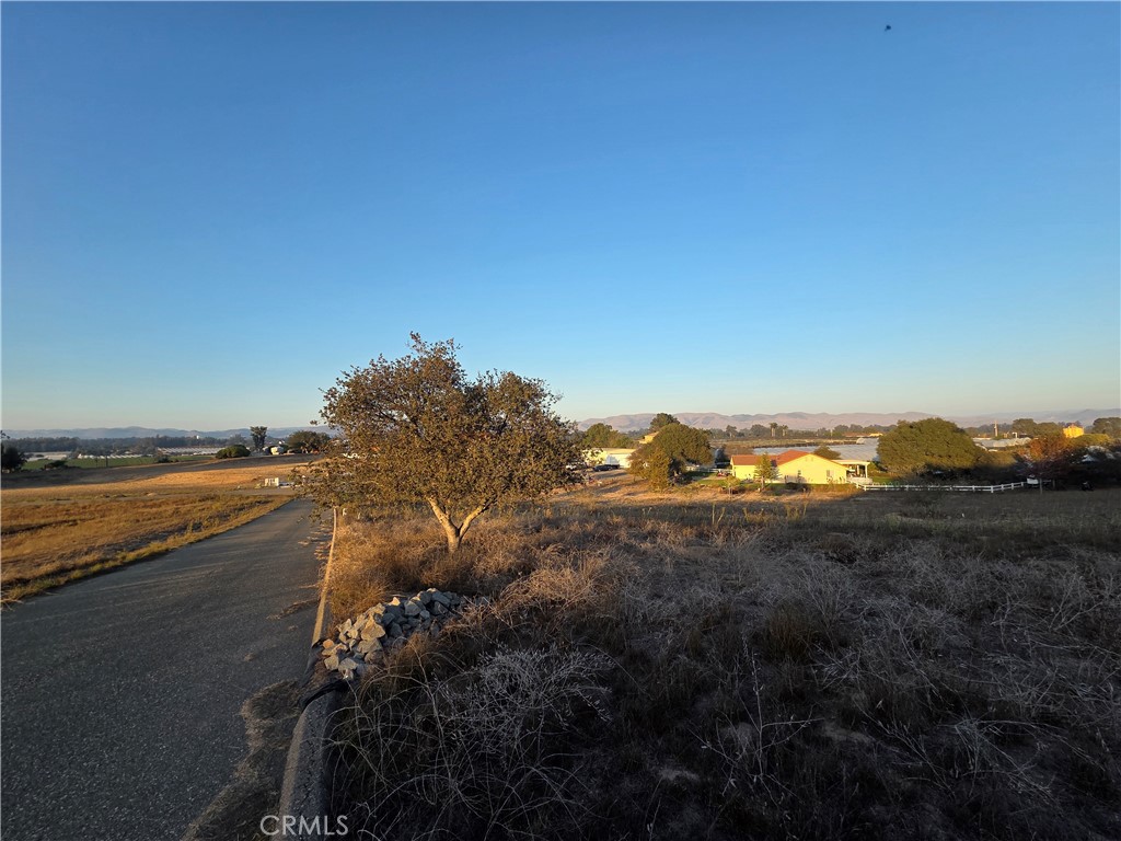 MLS #SC26219314 image #30