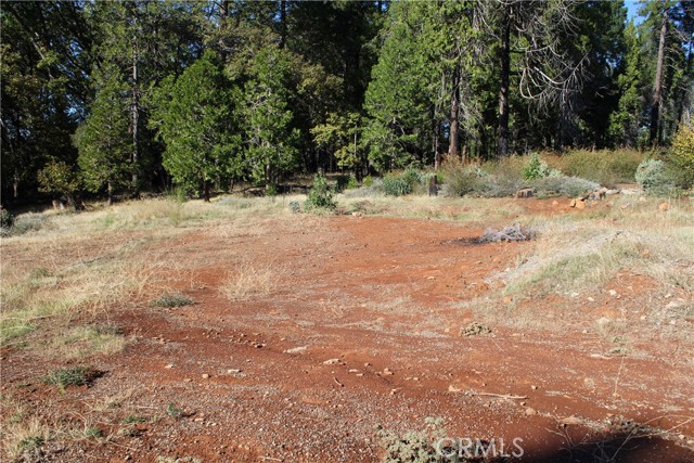 Detail Gallery Image 11 of 17 For 13911 Cluster Ct, Magalia,  CA 95954 - – Beds | – Baths