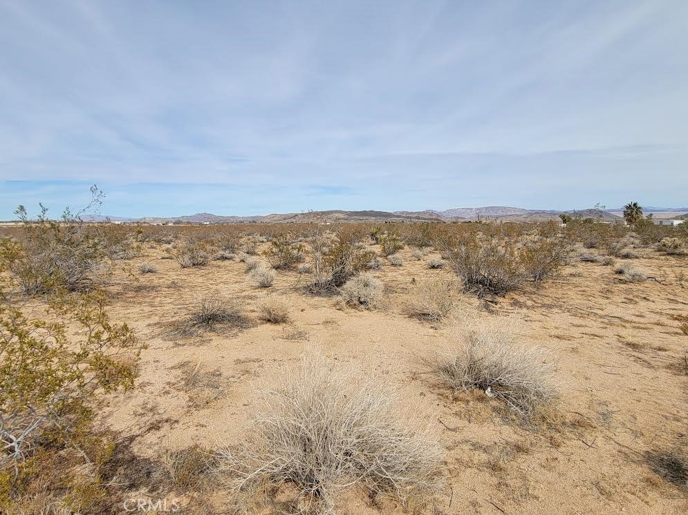 MLS #PW25037996 image #4