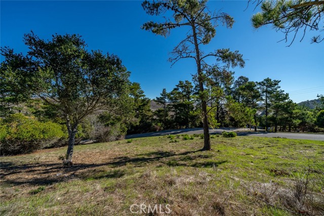 Detail Gallery Image 7 of 13 For 0 Pickwick Ln, Cambria,  CA 93428 - – Beds | – Baths