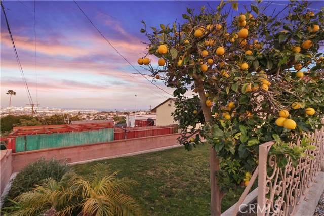 Detail Gallery Image 52 of 61 For 1342 W 19th St, San Pedro,  CA 90732 - 3 Beds | 2 Baths