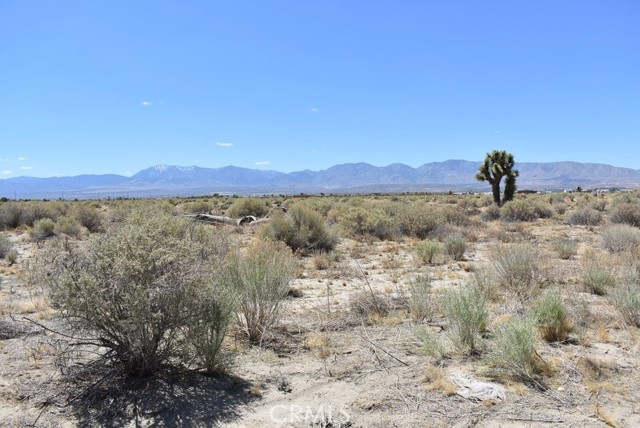 Detail Gallery Image 3 of 8 For 14500 Ave R, Littlerock,  CA 93543 - – Beds | – Baths