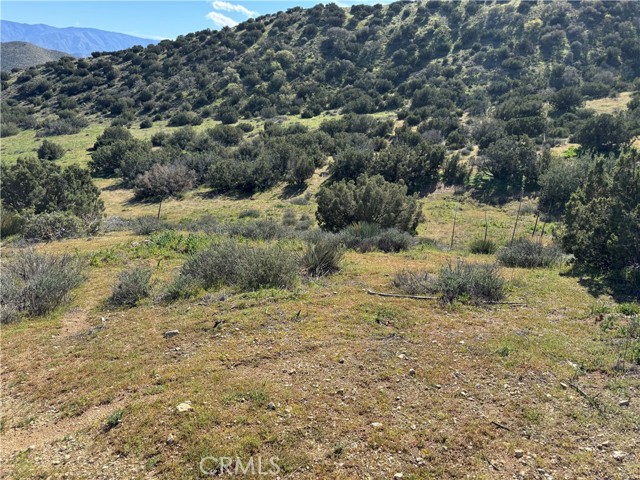 Detail Gallery Image 3 of 8 For 0 0, Acton,  CA 93510 - – Beds | – Baths