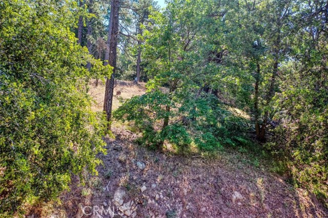 0 Cochran Rd, Cedarpines Park, California 92391, ,Land,For Sale,0 Cochran Rd,CREV22196824