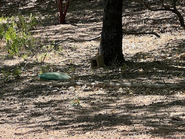 septic is in !