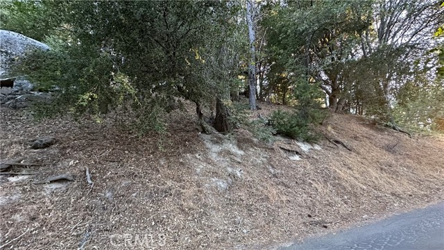 0 Mid Lane, Twin Peaks CA: https://media.crmls.org/medias/30ca7146-9a0b-4e8b-a7ca-9b1100b5b557.jpg