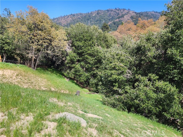 327 Davos Drive, Crestline CA: https://media.crmls.org/medias/30ccd78d-90e4-45d8-850e-dbb35727fae7.jpg