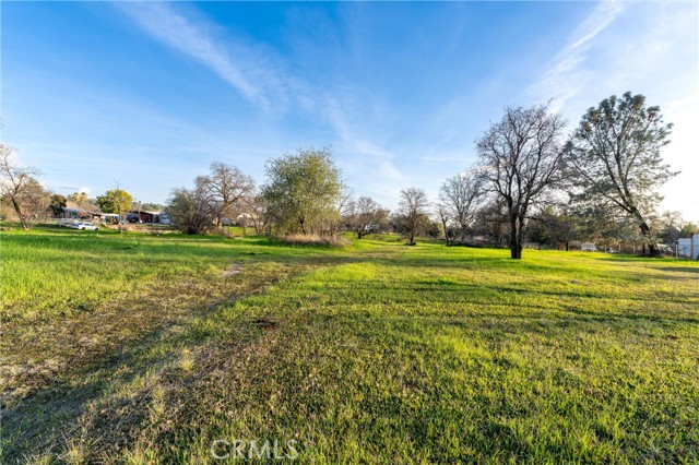 4560 Olive, Oroville, California 95966, ,Land,For Sale,4560 Olive,CROR24013389