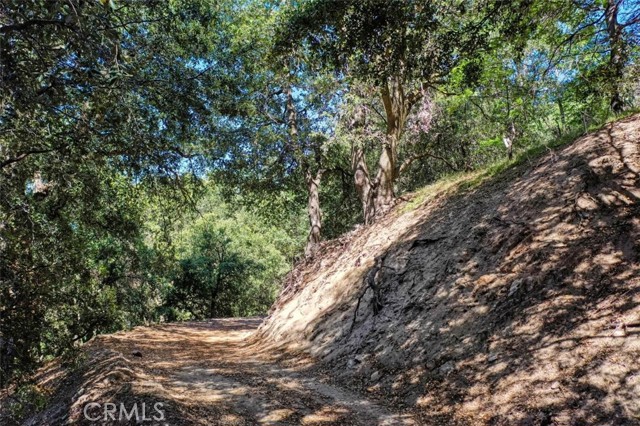 0 Cochran Rd, Cedarpines Park, California 92391, ,Land,For Sale,0 Cochran Rd,CREV22196824