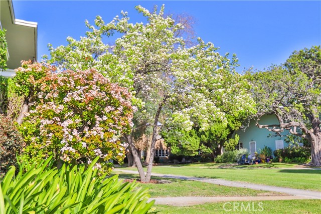 Detail Gallery Image 15 of 15 For 5389 1/2 Village, Los Angeles,  CA 90016 - 2 Beds | 1 Baths