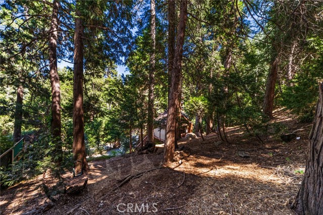 24599 Geneva, Crestline, CA 92325